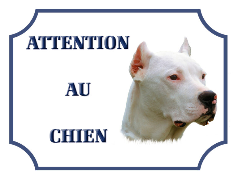 plaque dogue argentin