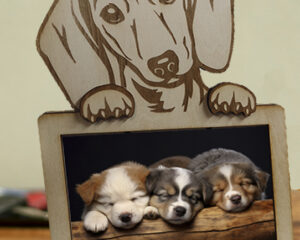 cadres et décoration murale