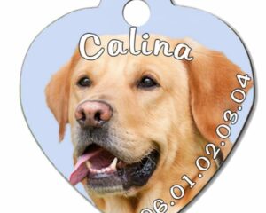 Médaille personnalisée pour chien