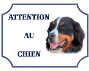 Plaque Bouvier Bernois